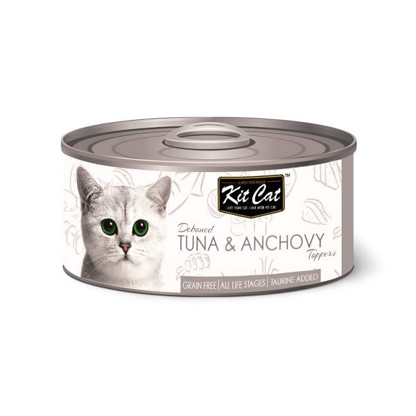 Kit Cat קיט קט שימור טונה ואנשובי דיבון