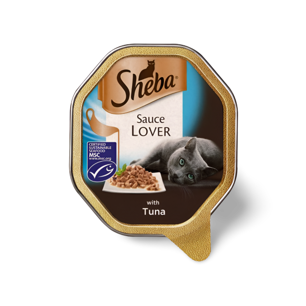 Sheba שיבא טונה עם רוטב