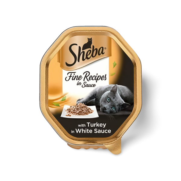 Sheba שיבא בטעם הודו ברוטב לבן