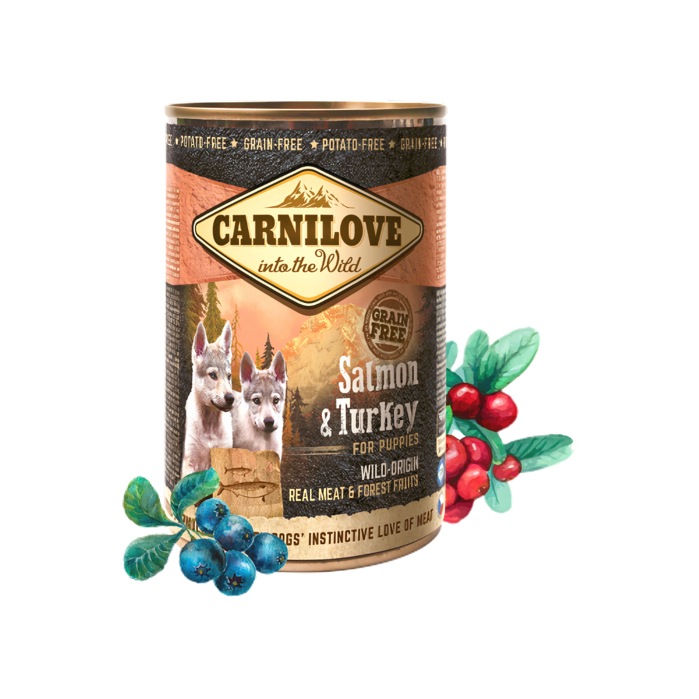 Carnilove קרנילאב שימור לכלבים גורים סלמון והודו