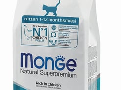 שקית של Monge מונג' חתולים קיטן עוף לגורי חתולים בגילאי 1-12 חודשים, כולל מידע תזונתי והנחיות האכלה. מתאים לגידול חתולים צעירים ובריאים.