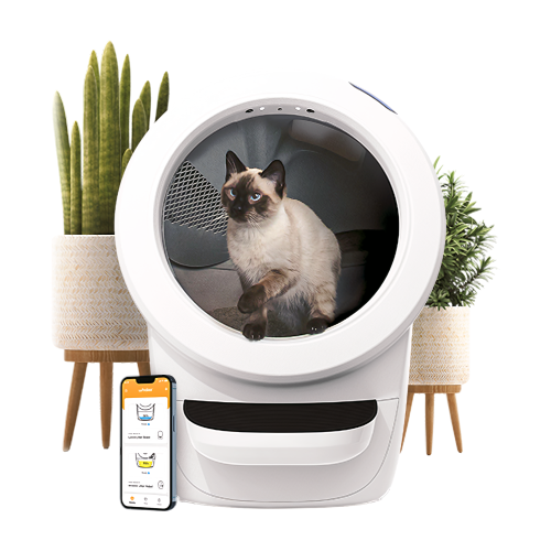 Litter Robot 4 ליטר רובוט 4 שירותים אוטומטיים לחתולים