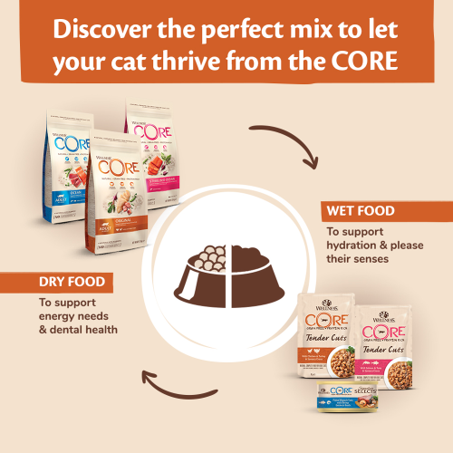 Wellness Core וולנס-קור חתולים בוגרים סלמון