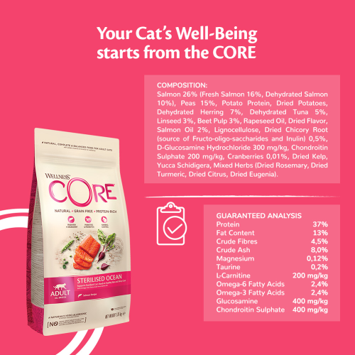 Wellness Core וולנס-קור חתולים בוגרים סלמון