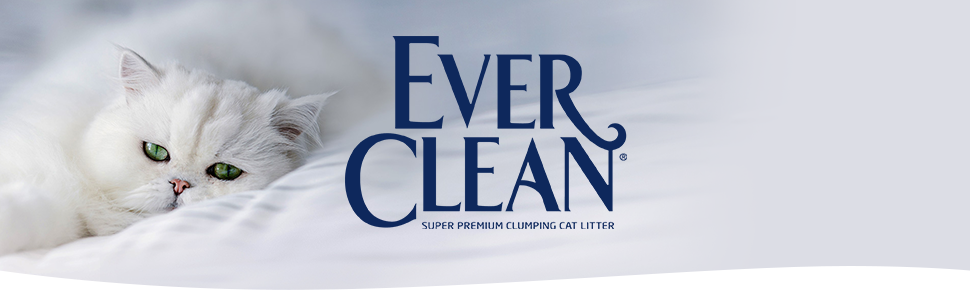 Ever Clean - חתול לבן נח על משטח רך ליד הלוגו, המפרסם "Super Premium Clumping Cat Litter".
