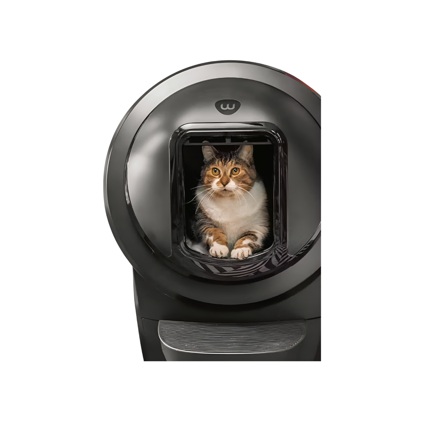 Litter Robot 4 Shield מגן מפני פיזור חול לחתולים