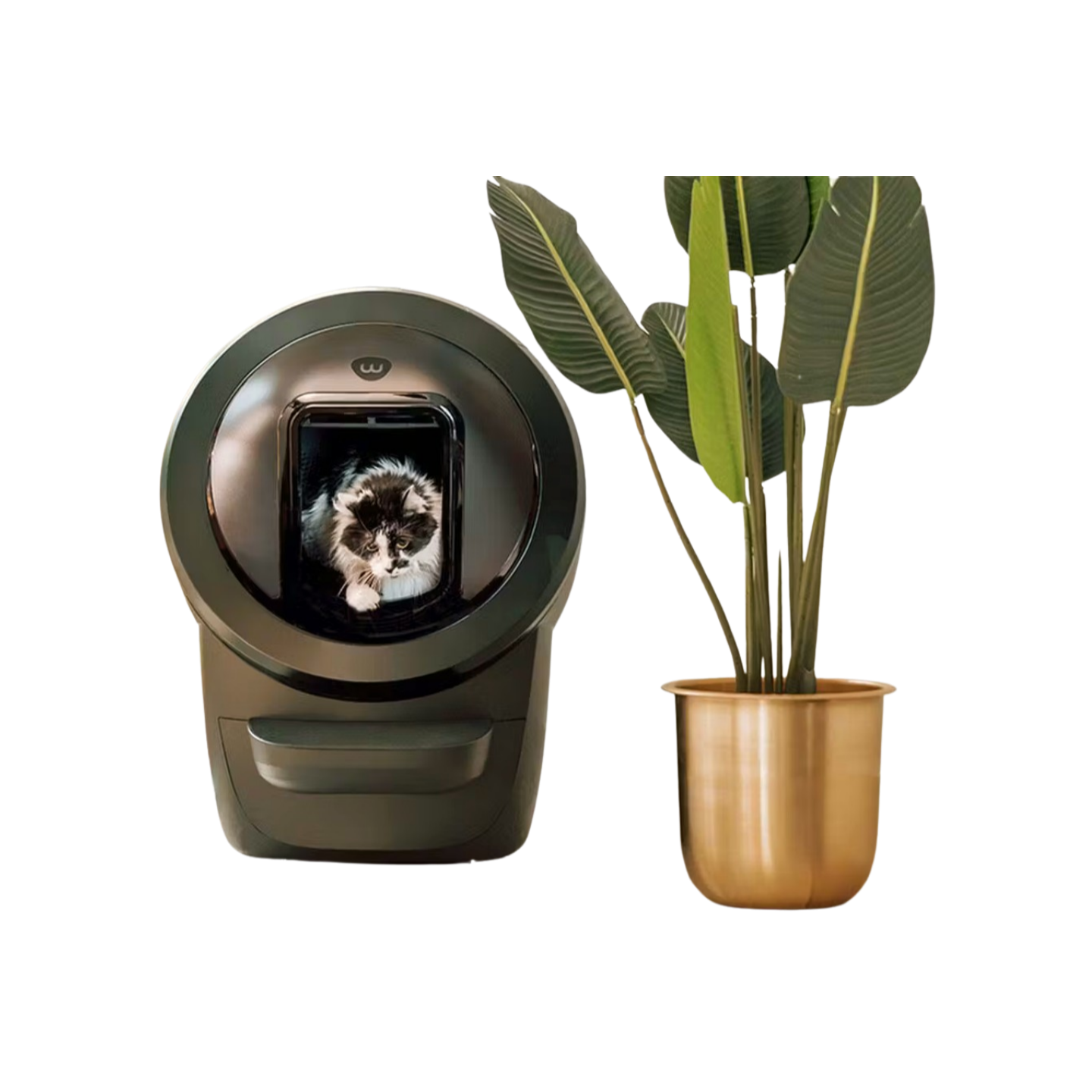 Litter Robot 4 Shield מגן מפני פיזור חול לחתולים