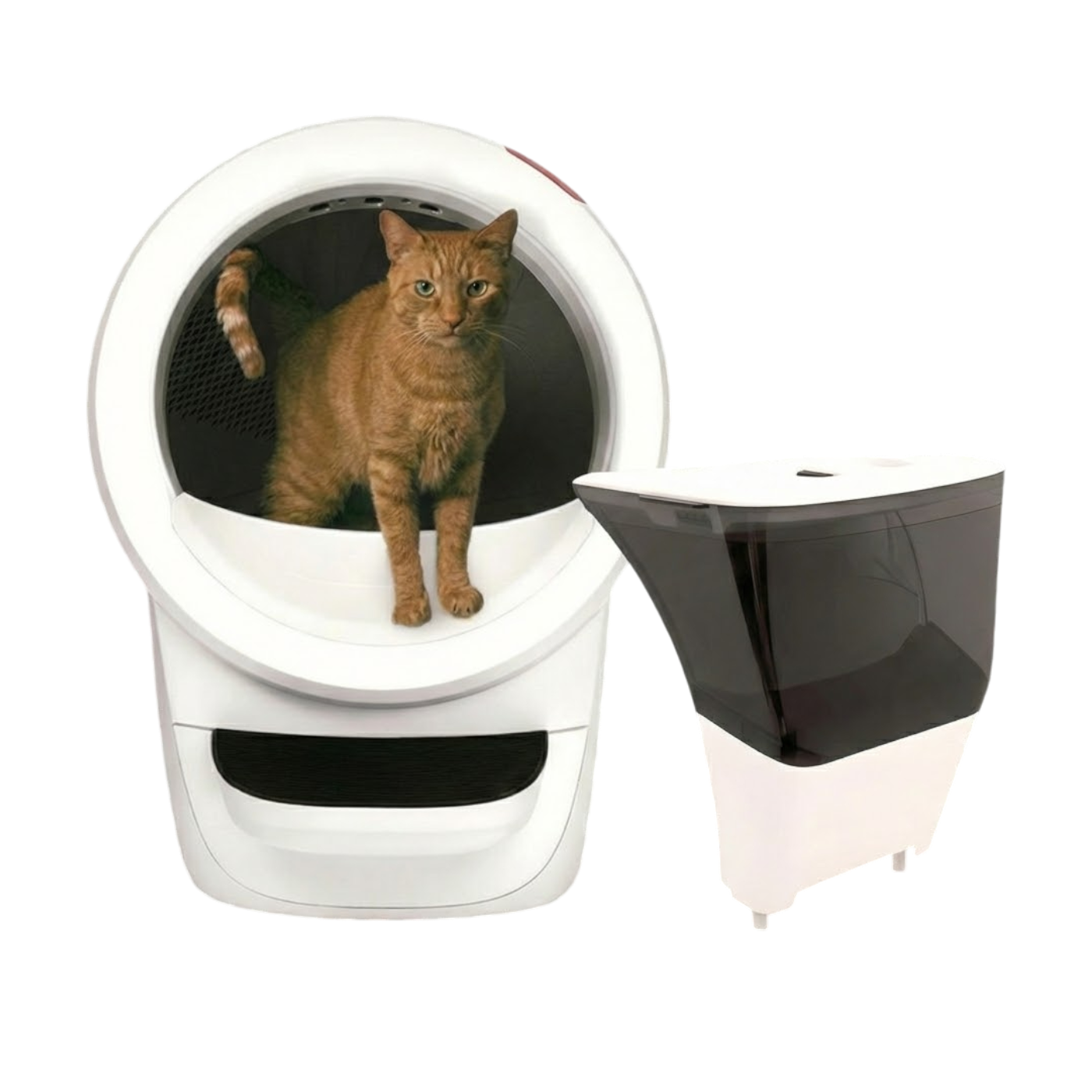 Litter Robot 4 Bundle ליטר רובוט והופר