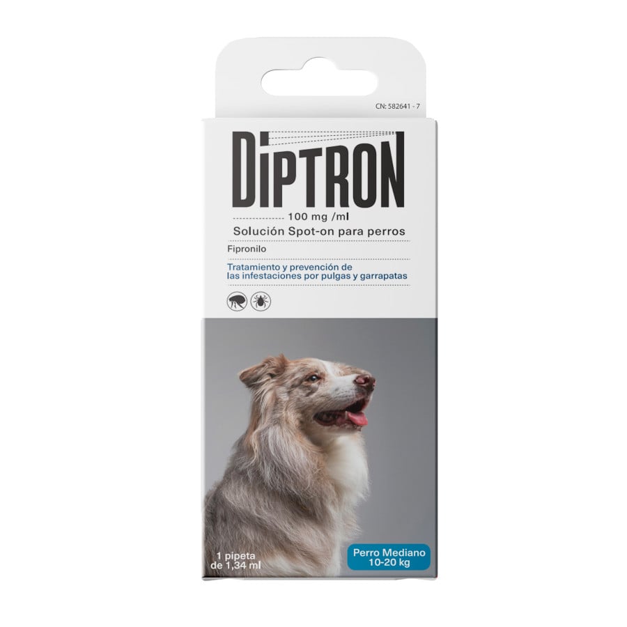 Diptron דיפטרון כלבים