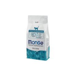 Monge מונג' חתול קיטן בקר