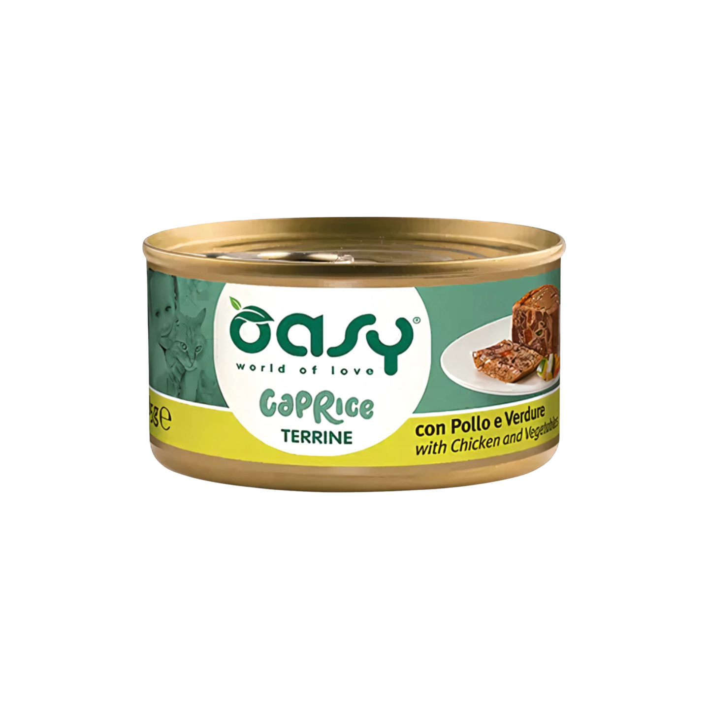 OASY אואסי מעדן טרין עם עוף וירקות