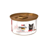 Urban Cat אורבן קט גולד מעדן פטה בטעם סלמון לחתול