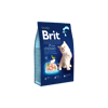 Brit בריט פרמיום חתול גור