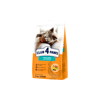 Club4Paws קלאב 4 פאו חתולים סטרילייז סלמון