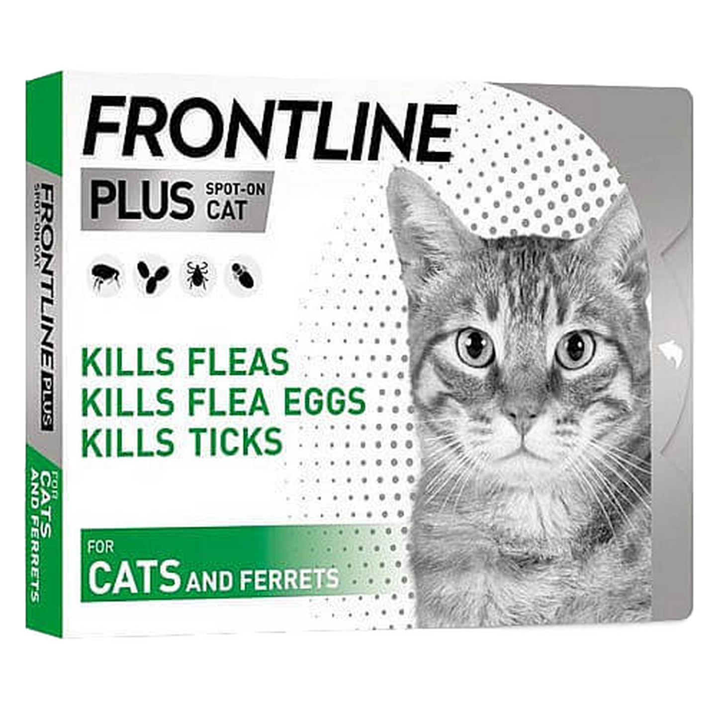 Frontline פרונטליין אמפולות לחתולים