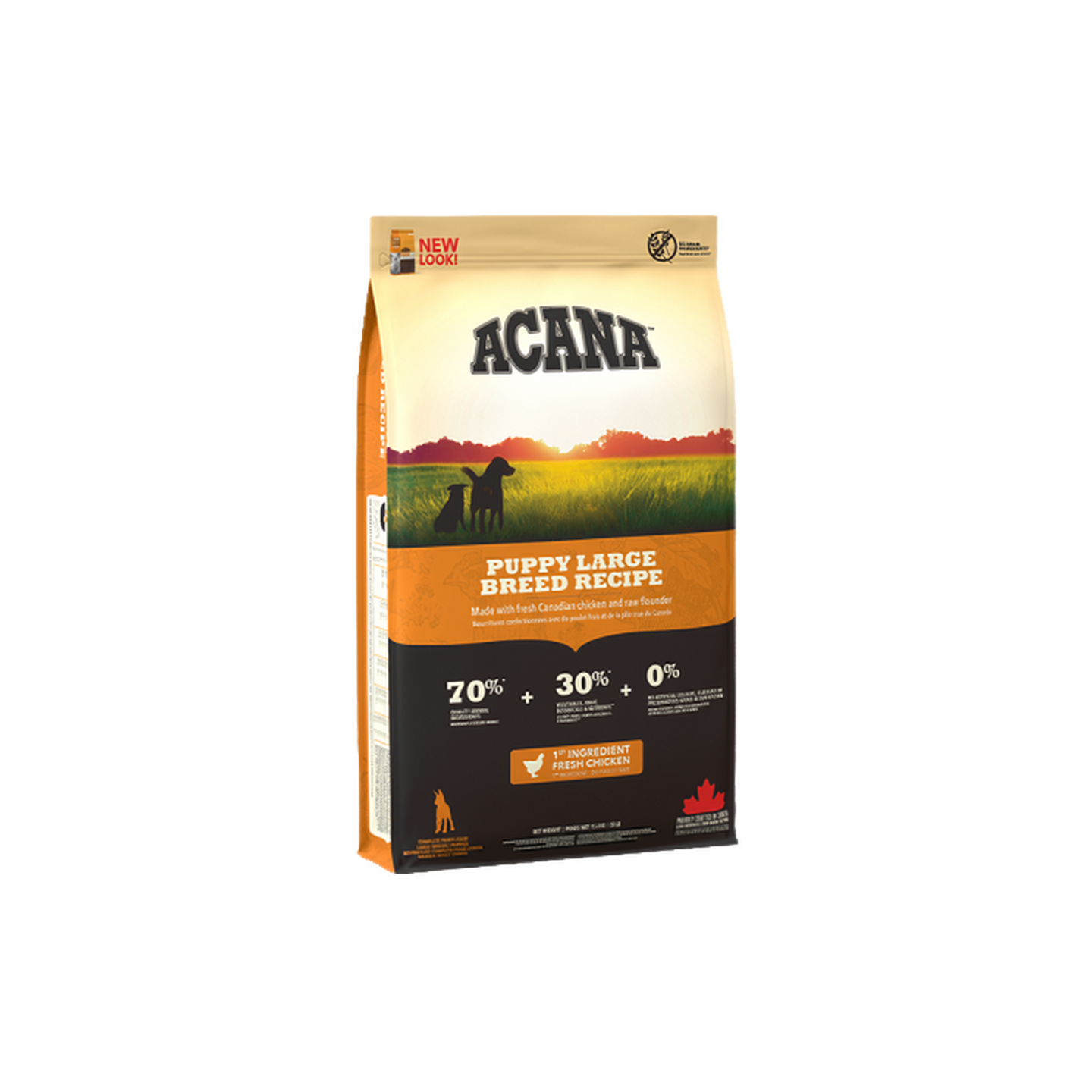 Acana אקאנה גורים גזע גדול