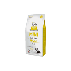 Brit בריט קר מיני בוגר כבש