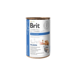 Brit בריט רפואי לכלב ריקאברי