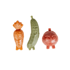 Garden Bites גרדן בייטס וגי באדיז חטיף טבעוני לכלב