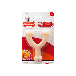 Nylabone ניילבון עצם בריח קטנה בטעם עוף
