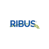 Ribus