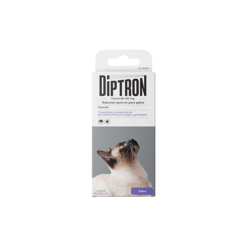 Diptron דיפטרון חתולים