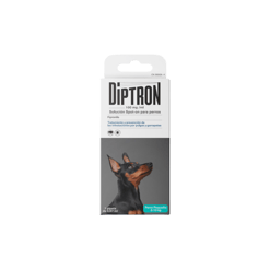 Diptron דיפטרון כלבים