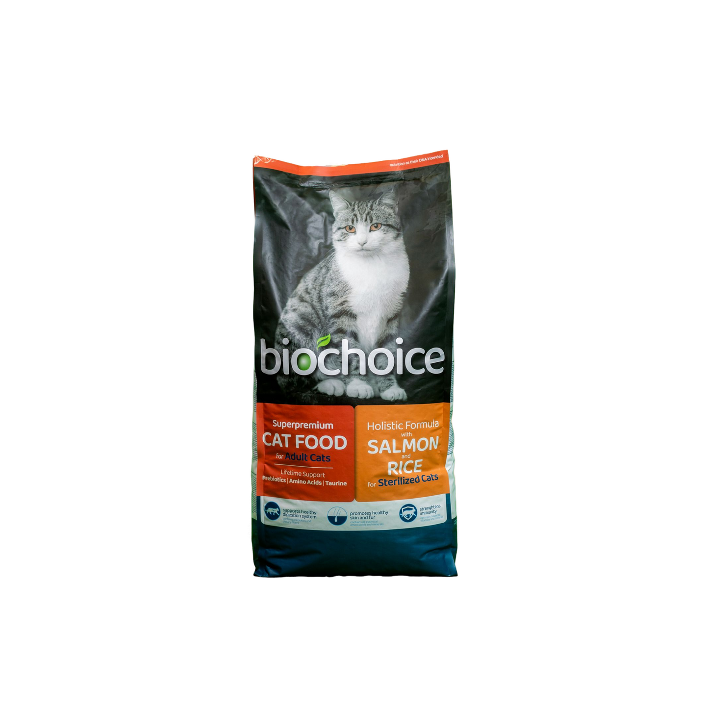 Bio Choice ביוצ'ויס מזון יבש לחתול בוגר בטעם סלמון ואורז