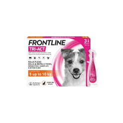 Frontline טרי אקט לכלבים