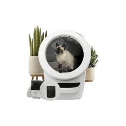 Litter Robot 4 Bundle חבילה מלאה לחתולים