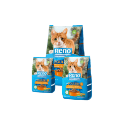 Reno רינו מזון יבש לחתולים בטעם עוף Reno רינו מזון יבש לחתולים בטעם עוף