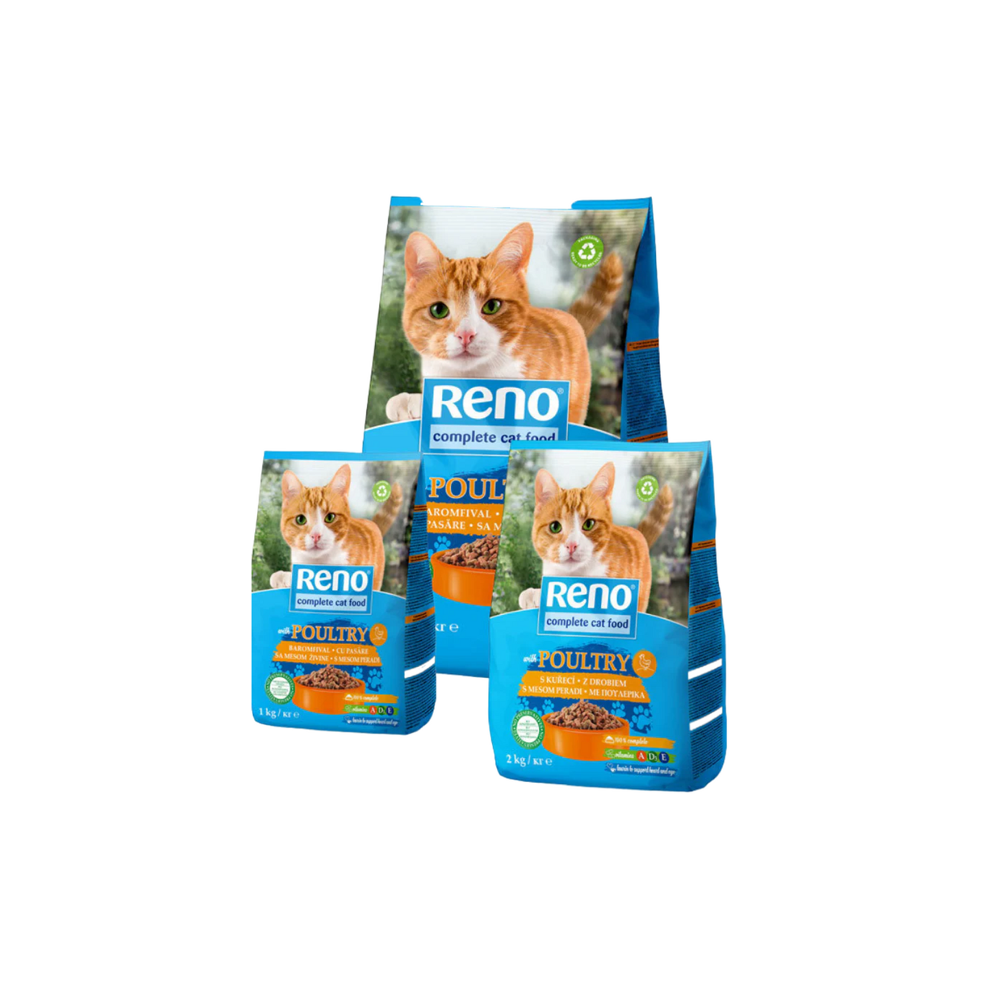 Reno רינו מזון יבש לחתולים בטעם עוף