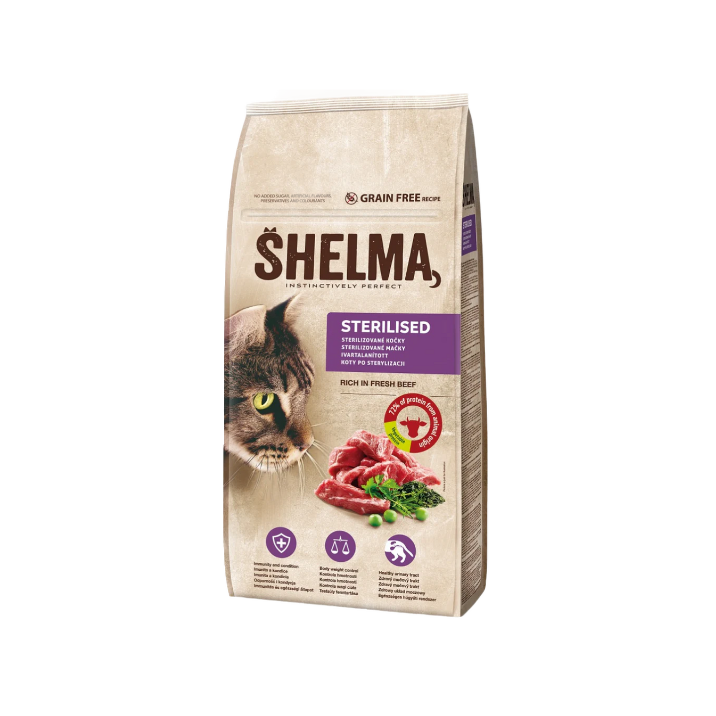 SHELMA שלמה מזון יבש לחתולים פרימיום ללא דגנים בקר טרי