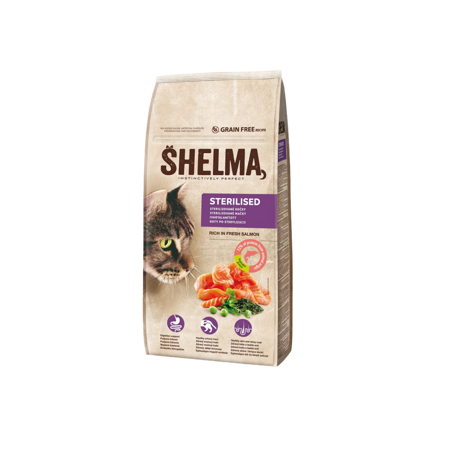 SHELMA שלמה מזון יבש לחתולים פרימיום ללא דגנים סלמון טרי