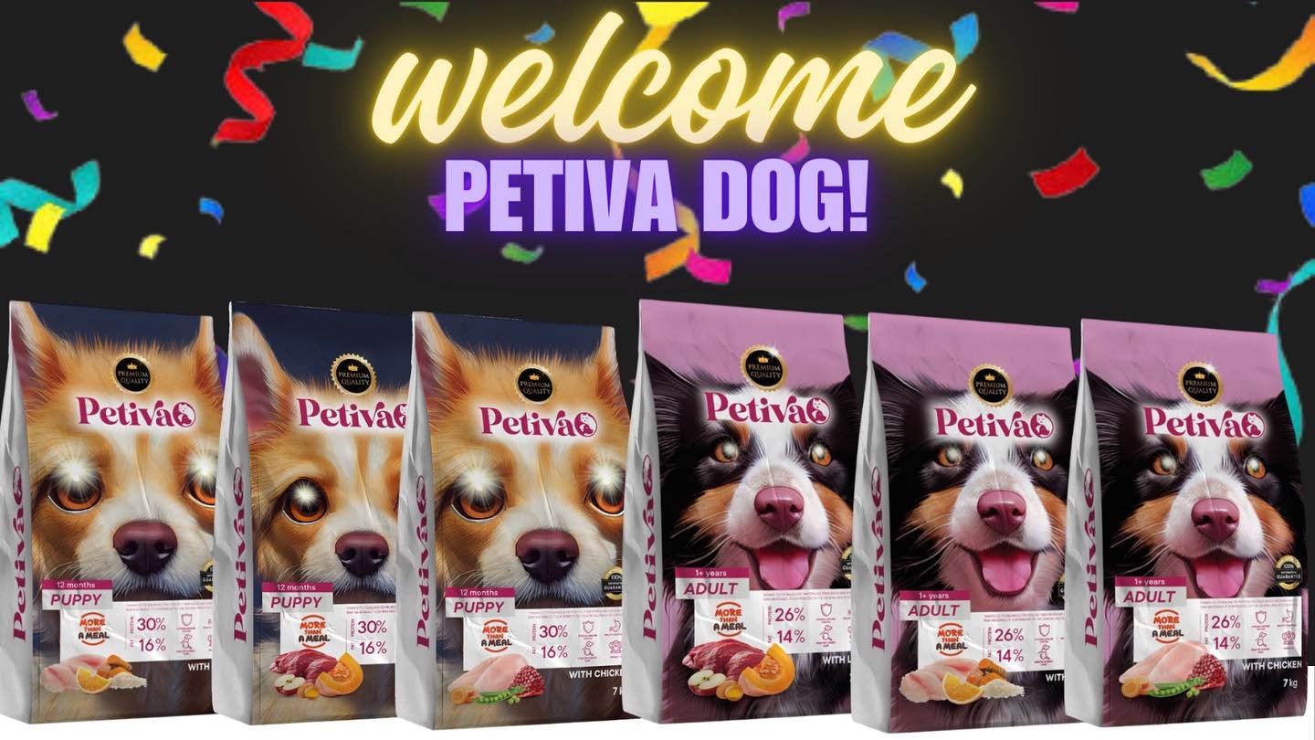 סדרת הכלבים🐶🔥 

#כלבים #כלביםלאימוץ #כלביםזהאהבה💕 #מזוןלכלבים #חיותמחמד #מ...