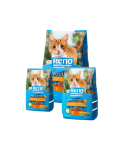Reno רינו מזון יבש לחתולים בטעם עוף